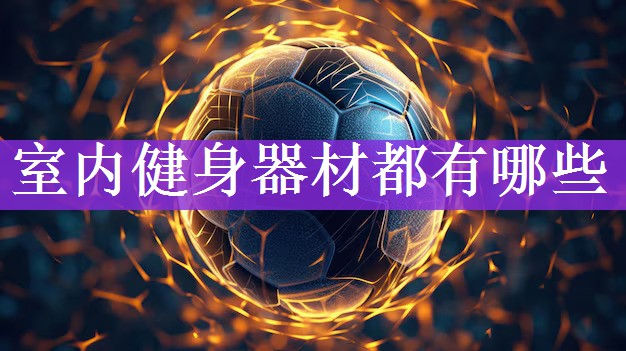 <strong>室内健身器材都有哪些</strong>