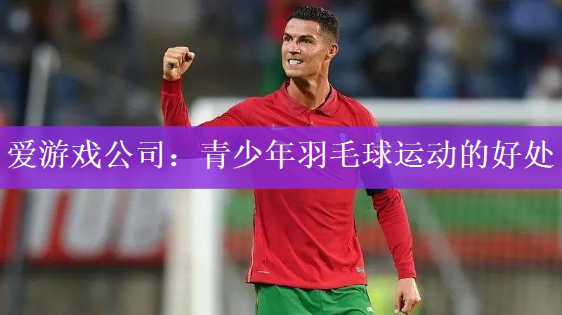 爱游戏公司：青少年羽毛球运动的好处