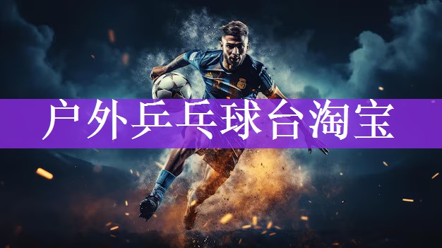 户外乒乓球台淘宝